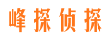 潼关私家调查公司